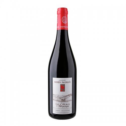 Anjou Les Coteaux D'Ardenay Rouge 2016 Patrick Baudouin 75CL