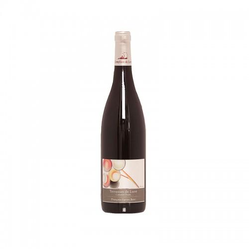 Saint-Nicolas-de-Bourgueil Terrasses de Lune 2017 Francois Xavier Barc