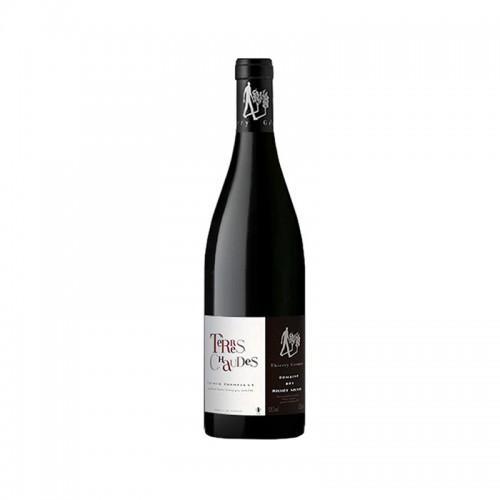 Saumur-Champigny Terres chaudes 2018 Thierry Germain 75CL