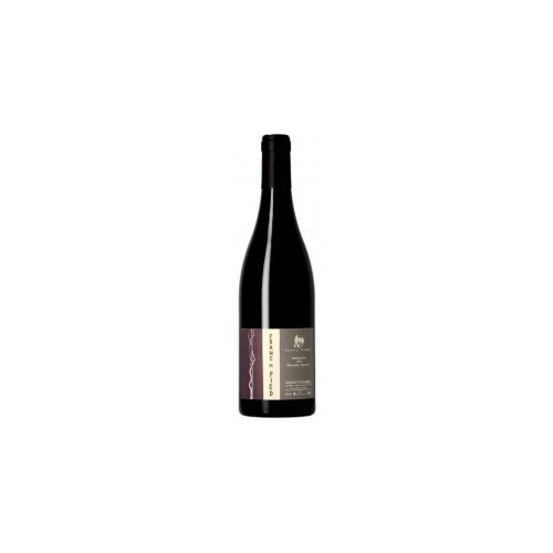 Saumur-Champigny Franc de Pied 2016 Thierry Germain