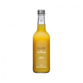 Citronnade Bio Citron-Gingembre 33CL