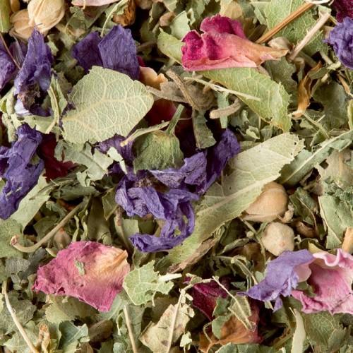 Tisane Des Merveilles Dammann Frères : En Vrac | Infusion