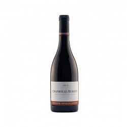 Chambolle Musigny 2018 Domaine Arnoux Lachaux 75CL