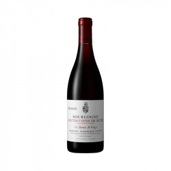 Hautes Cotes-de-Nuits 2018 Antonin Guyon 75CL