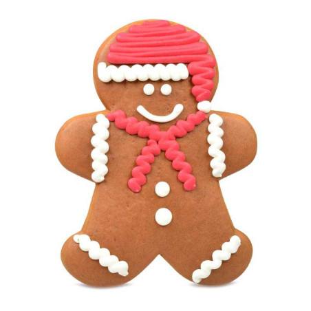 Monsieur Pain d'épices décoré Le Comptoir de Mathilde 140G