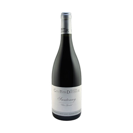 Santenay Clos Genets rouge 2021 Dufouleur 75Cl