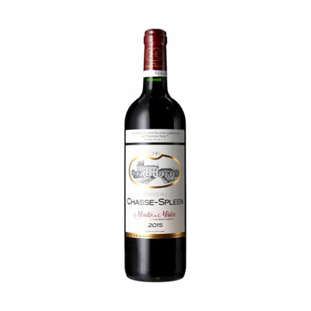 Moulis-en-Médoc Château Chasse-Spleen 2020 75CL | Vin Rouge