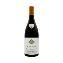 Beaune Blanc Montagne Saint Désiré 2022 Remoissenet 75CL