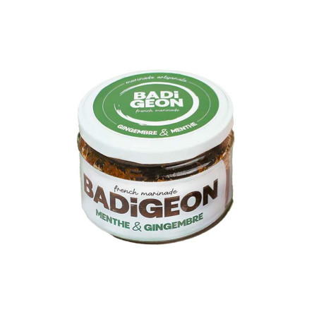Marinade Gingembre Menthe Badigeon 200ML | Condiment Artisanal