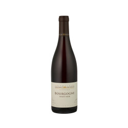 Bourgogne Pinot Noir 2020 Domaine Maldant Pauvelot 75CL