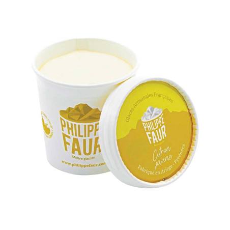 Sorbet Citron jaune Philippe Faur 100ML | Maitre Artisan Glacier