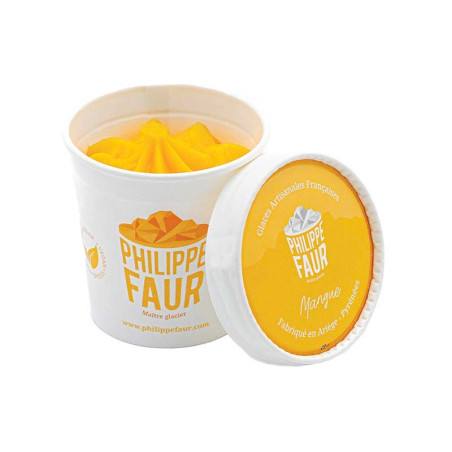 Sorbet Mangue Philippe Faur 100ML | Maitre Artisan Glacier