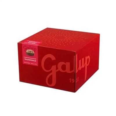 Panettone Gran Galup x gliAironi 750 g