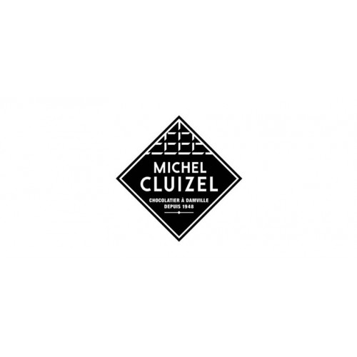 MICHEL CLUIZEL
