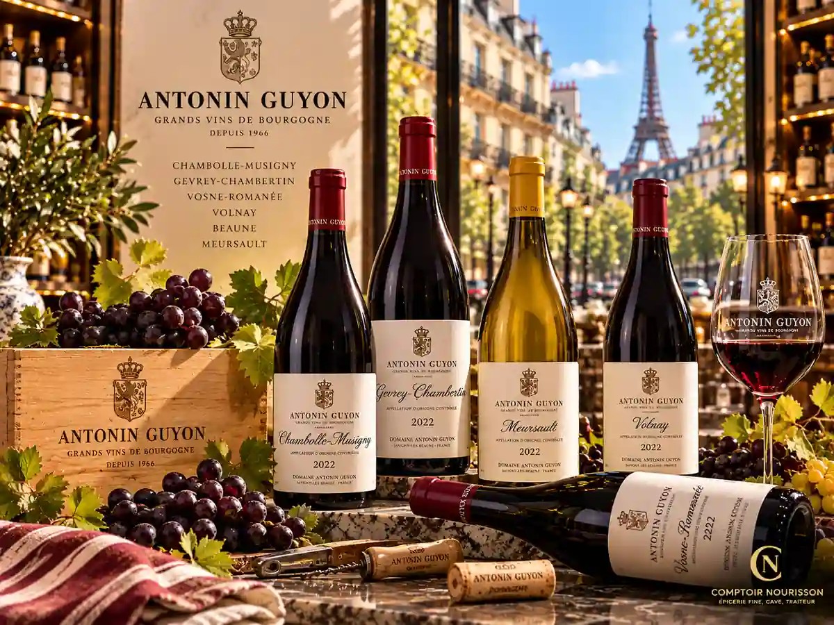 ANTONIN GUYON